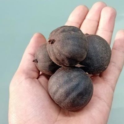 لیمو عمانی سیاه ۰۰۲
